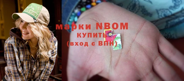 индика Абинск
