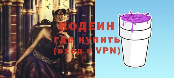 индика Абинск