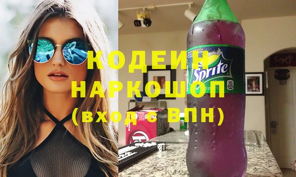 индика Абинск