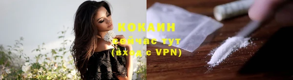 индика Абинск