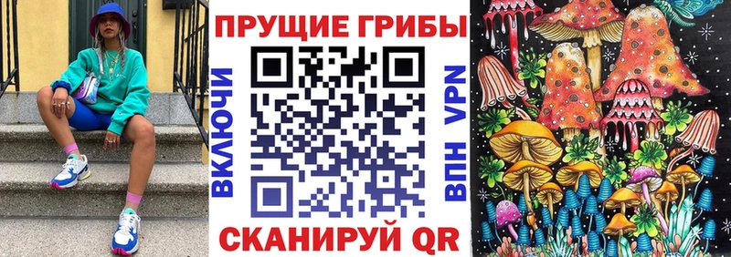 Псилоцибиновые грибы Cubensis Алейск